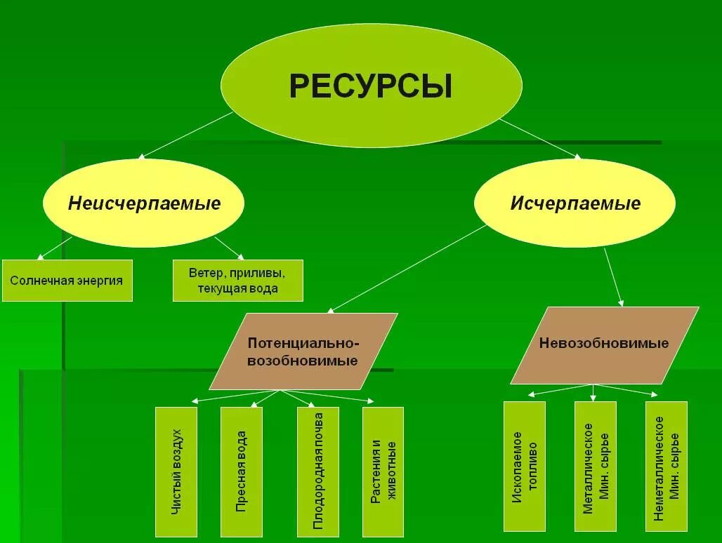 Природные ресурсы. Ресурсы природы. Классификация природных ресурсов. Восполняемые природные ресурсы.