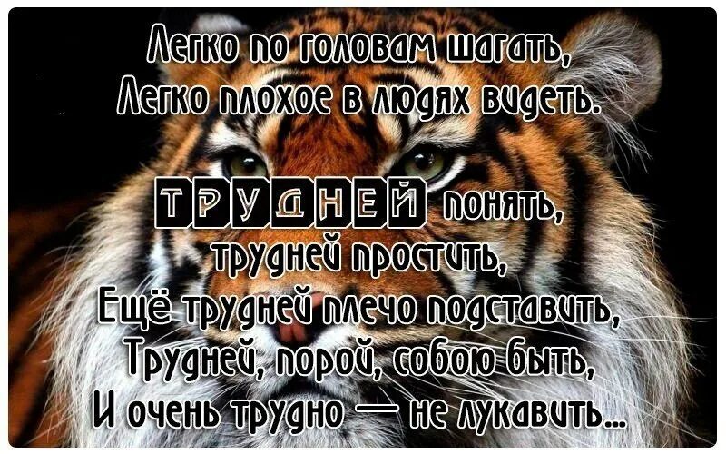Обидеть близкого человека легко. Их легко кому не. Мудрые высказывания достоевского. Картинки как легко придают. Их легко кому не.
