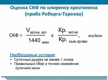 Клиренс креатинина проба реберга