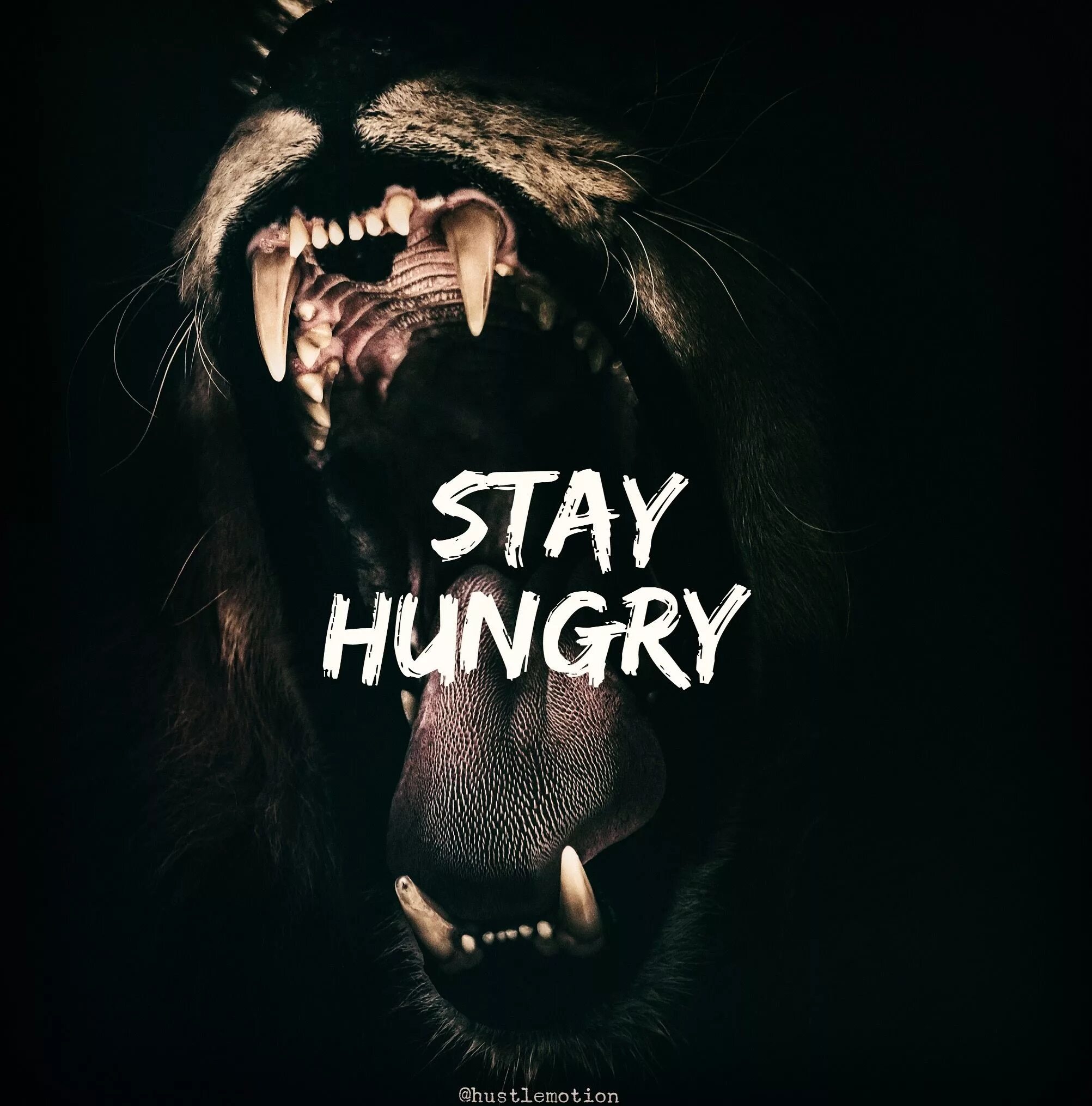 Переведи hungry. Stay hungry картина. Обои hungry. Татц stay hungry. Дорога с журнала stay hungry.