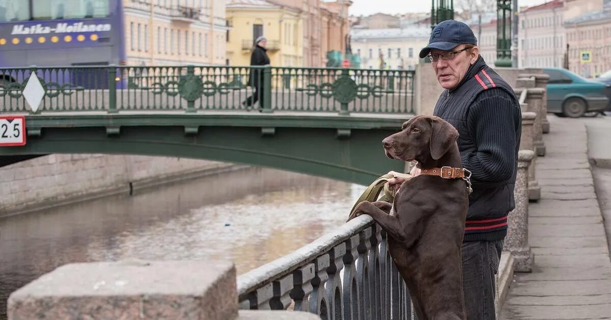 Собак спб отзывы. Собака Санкт-Петербург. Пес Петербург. Черный пес Петербург. Пес на улице в Питере.