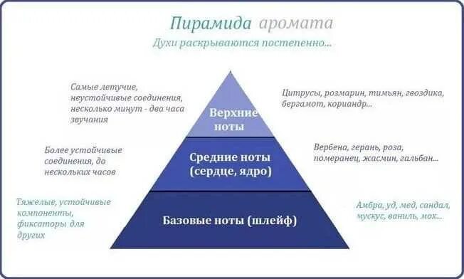 Иерархическая структура пример. Типы иерархических структур. Типы иерархических структур. Иерархичный тип организационной структуры. Схема иерархической организационной структуры.