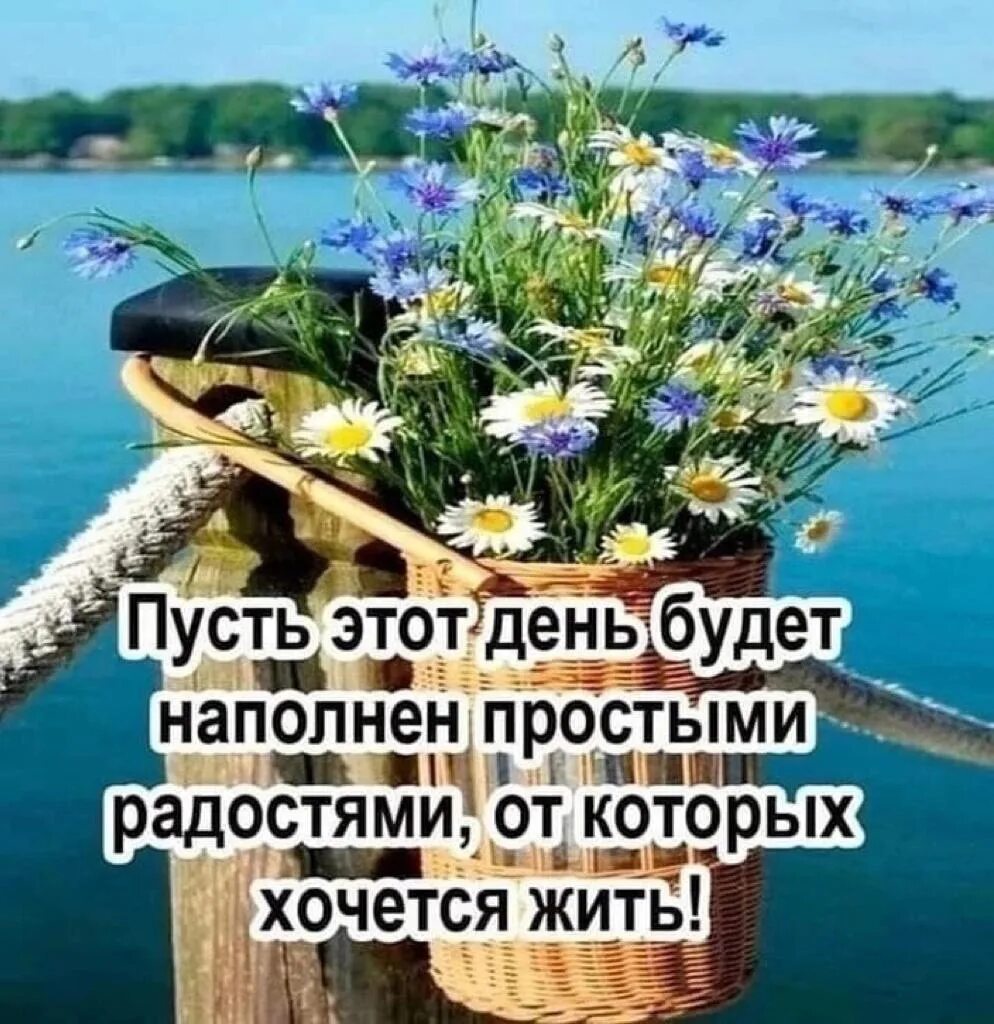 Доброе утро жизнь продолжается картинки