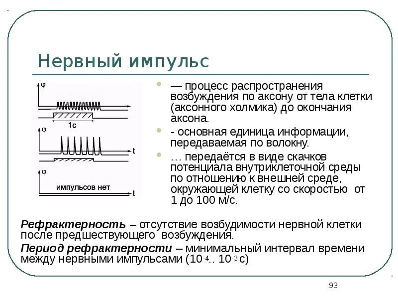 Импульсов действие нервного импульса. Частота нервных импульсов.