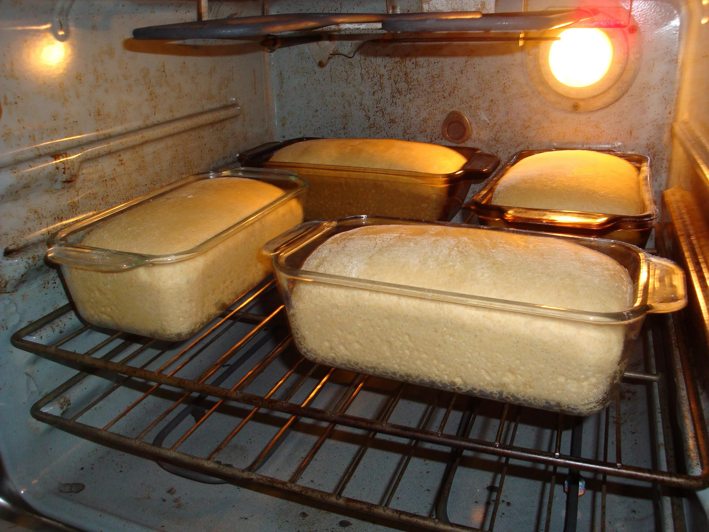 Печь хлеб в форме. Мука Добродея 5 кг. Хлеб в духовке. Хлеб в печи. Домашний хлеб в духовке.
