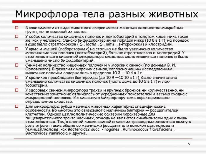 Форум микрофлора. Форум микрофлора