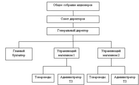 Структура организации акционерного общества