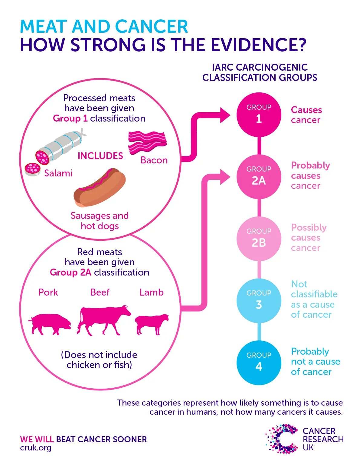 Почему вредно есть мясо. Влияние мяса на организм.