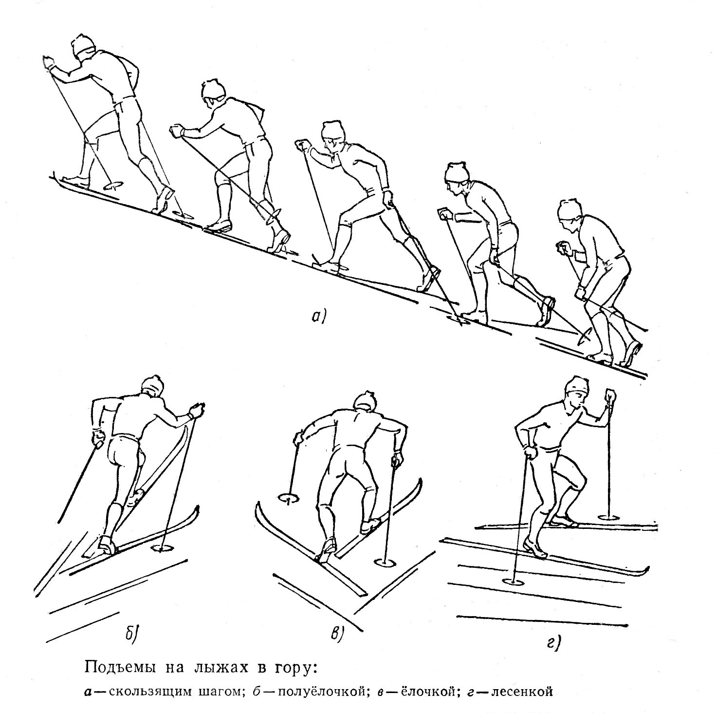 Подъем шагом. Техника лыжного хода спуски. Лыжные ходы техника подъема. Техника подъема на склон на лыжах. Подъемный коньковый ход схема.
