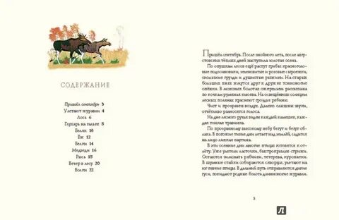 Содержание далекий