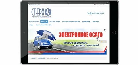 Боровицкое страховое общество осаго