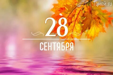 6 сентября 2016 год