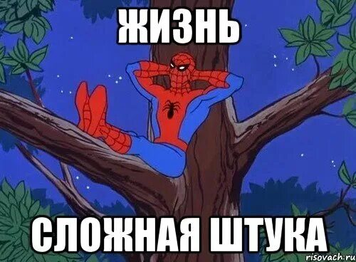Сложные мемы. Сложна шрек. Очень сложно до свидания мем. Сложна мем котенок. Очень сложные мемы.