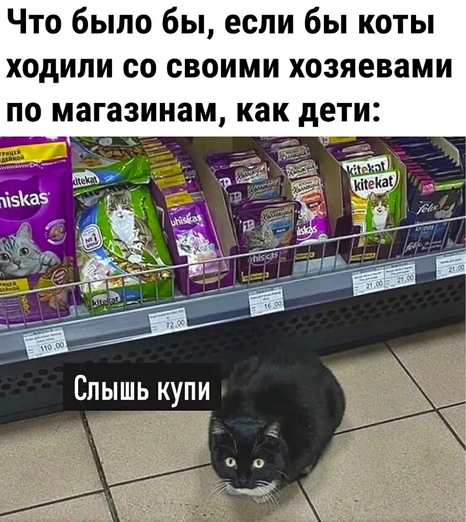 Свежие смешные картинки с надписями. Актуальные приколы. Приколы 2022 с надписями смешные. Где все картинки прикольные с надписями