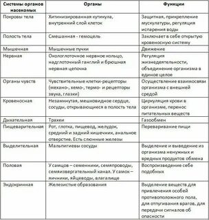Таблица строение и функции систем органов