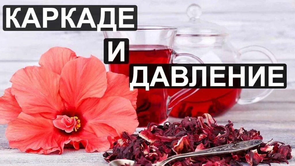 Черный чай и давление. Каркаде. Чай "каркаде". Чай каркаде понижает давление. Каркаде чай повышает или понижает давление.