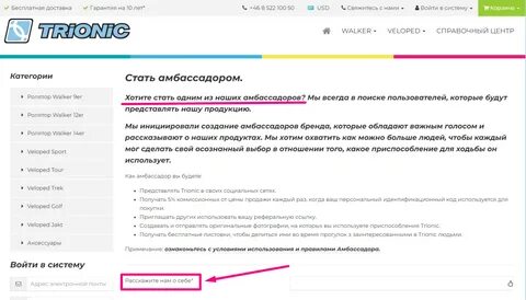 Амбассадор что это означает