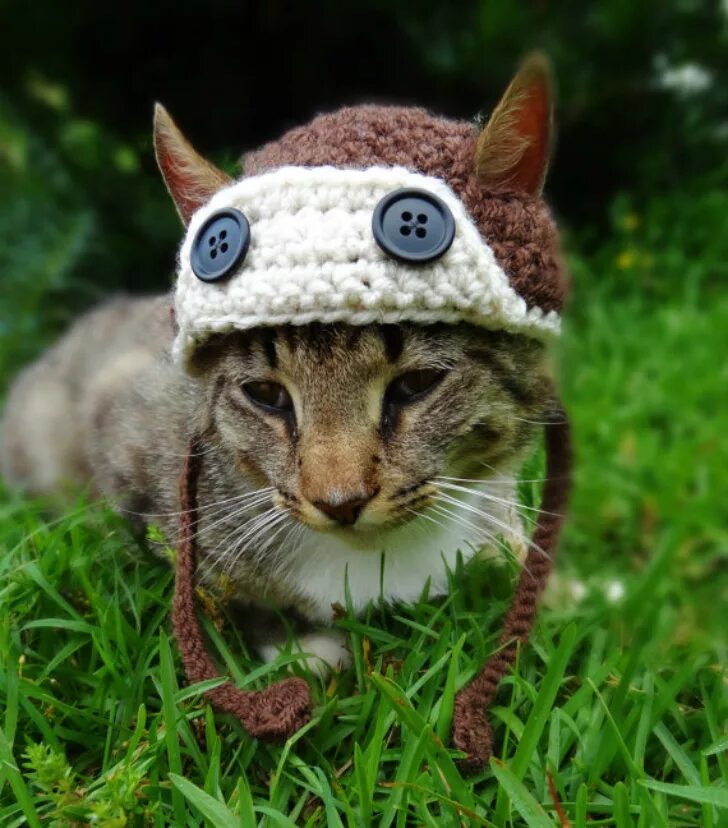 Как связать шапку коту