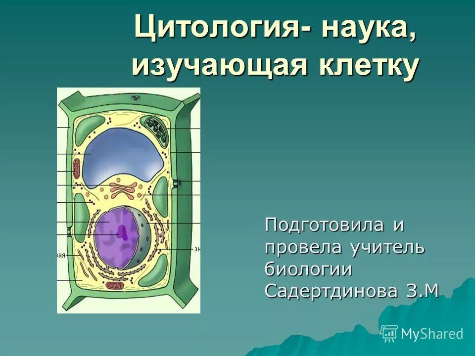 Наука изучающая клетку. Клетка цитология. Строение клетки цитология кратко. Цитология животной клетки. Цитология изучает строение и функции.