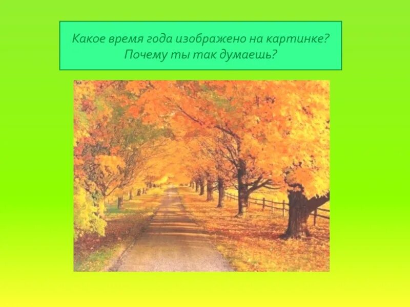 22 декабря сезонные изменения. Какое время года изображено. Какое время года изображено на картинке. Сезонные изменения в природе 22 декабря. Какое время года изображено на картине ответы.