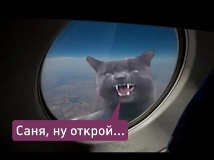 Открой видео лучшее