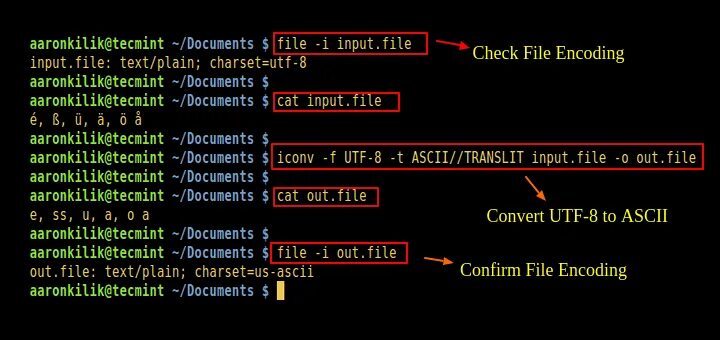 File encoding