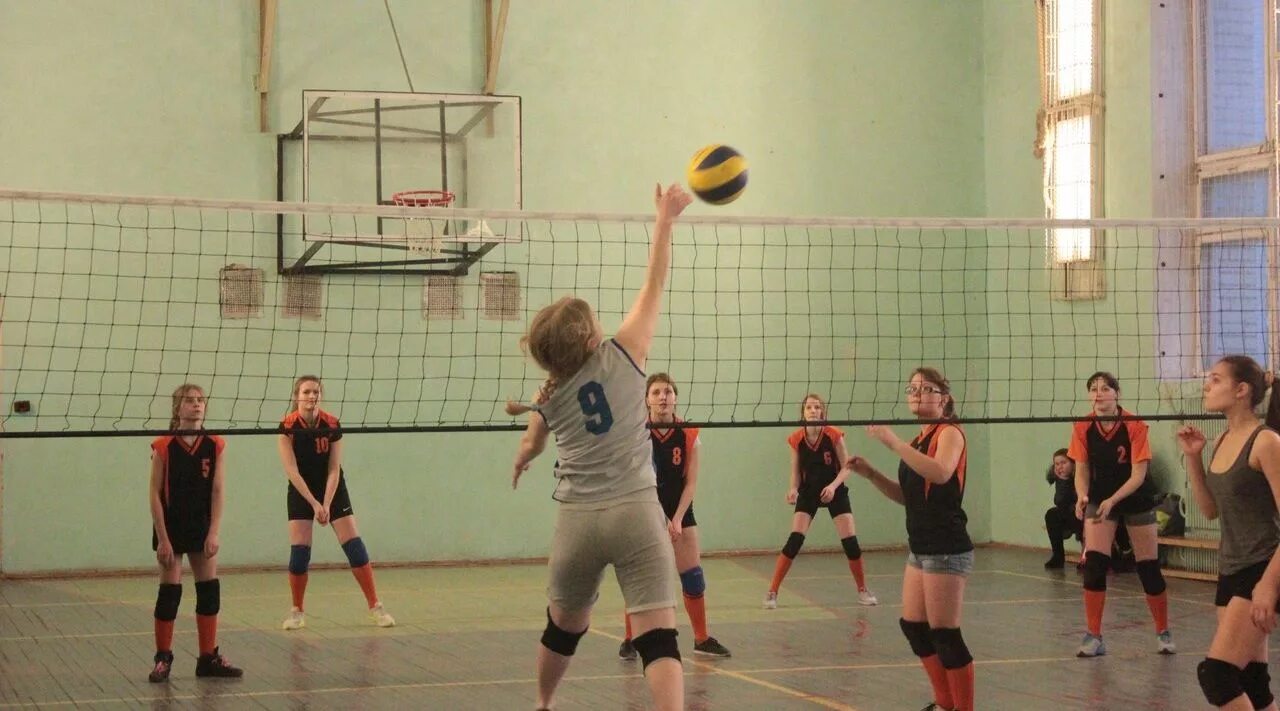Школа 66 Нововятск. Волейбол школьники. Кружки для школьников волейбол. Баскетбол в Нововятске. 66 школа нововятск