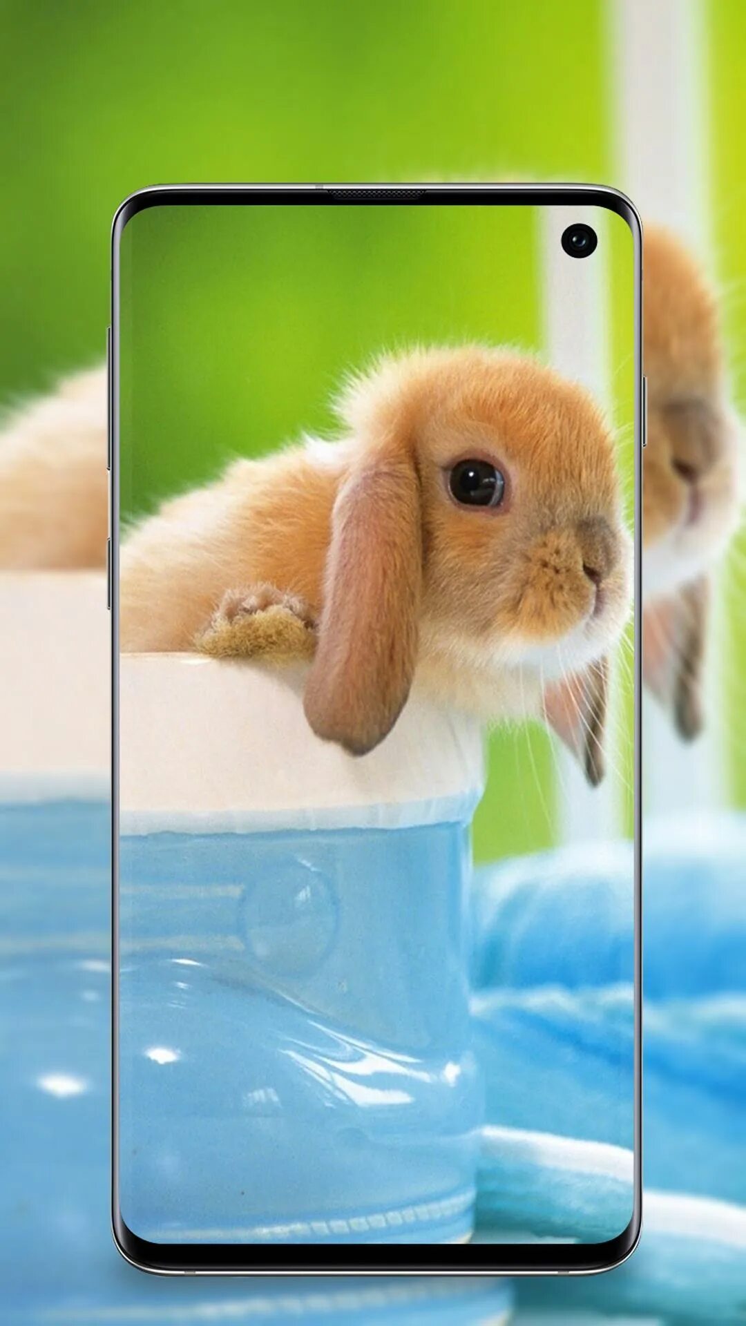 Зайчик игра. Установить зайчик на android. Зайчик игра. Кролик банни игра. Zaycev нет.