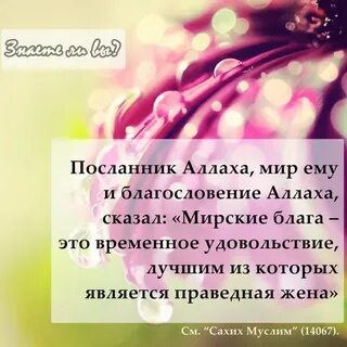 Благо в исламе