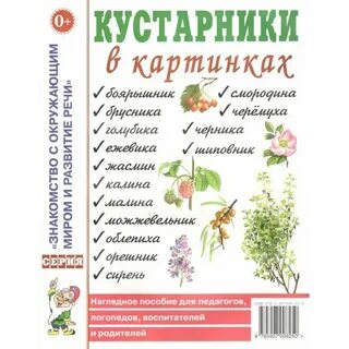 Куст дневник