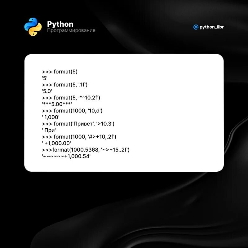 Функция format python. Функция format python