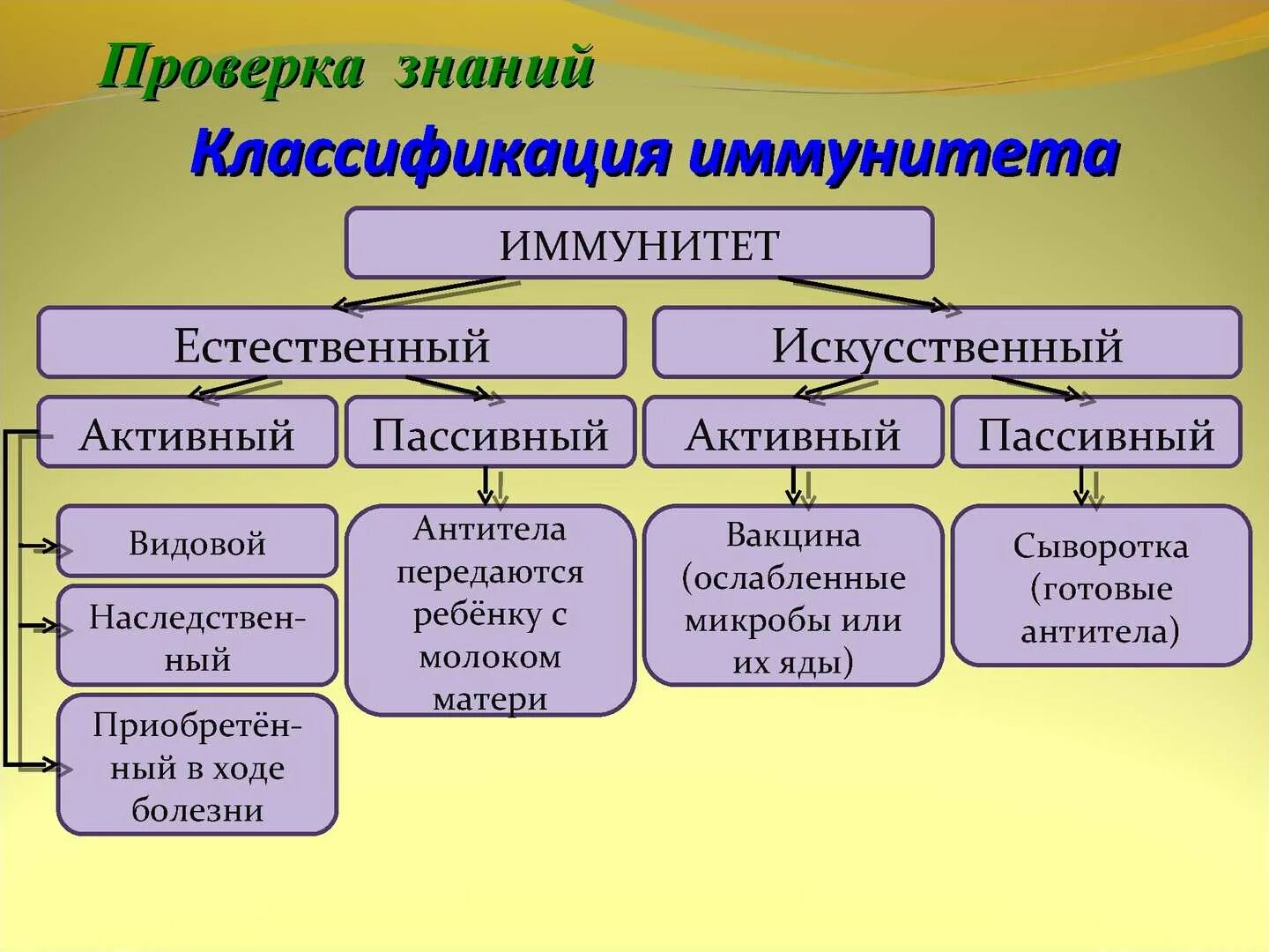 Иммунитет определение виды. Схема классификации видов иммунитета. искусственный активный иммунитет схема. иммунитет классификация иммунитета. классификация форм иммунитета.