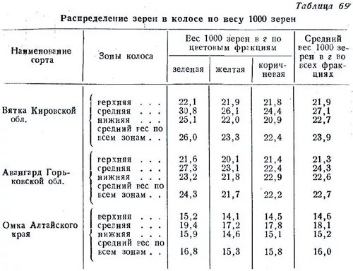 Вес 1 зерна. Сколько весит 1 зерно пшеницы. Сколько зерен в колоске пшеницы. Сколько зерен в Колосе пшеницы озимой. Число зерен в колоске пшеницы.