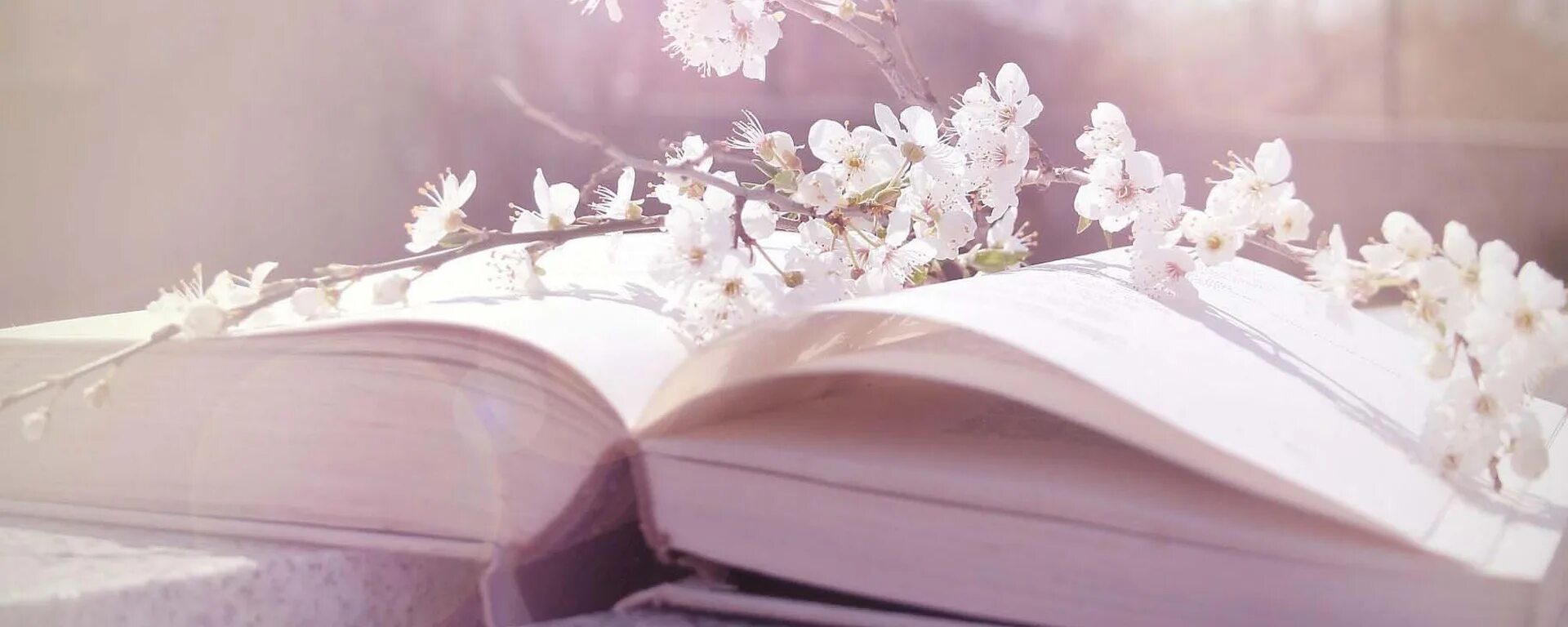 Вк группы книги. Книга цветы. Книги на фоне цветов. Красивые обложки. Нежные книги.