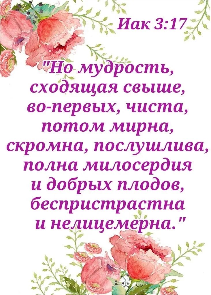 Пойду мудрей. Мудрость сходящая свыше во-первых чиста потом Мирна скромна. Мудрость свыше. Но мудрость сходящая свыше во-первых. Но мудрость сходящая свыше во-первых чиста.