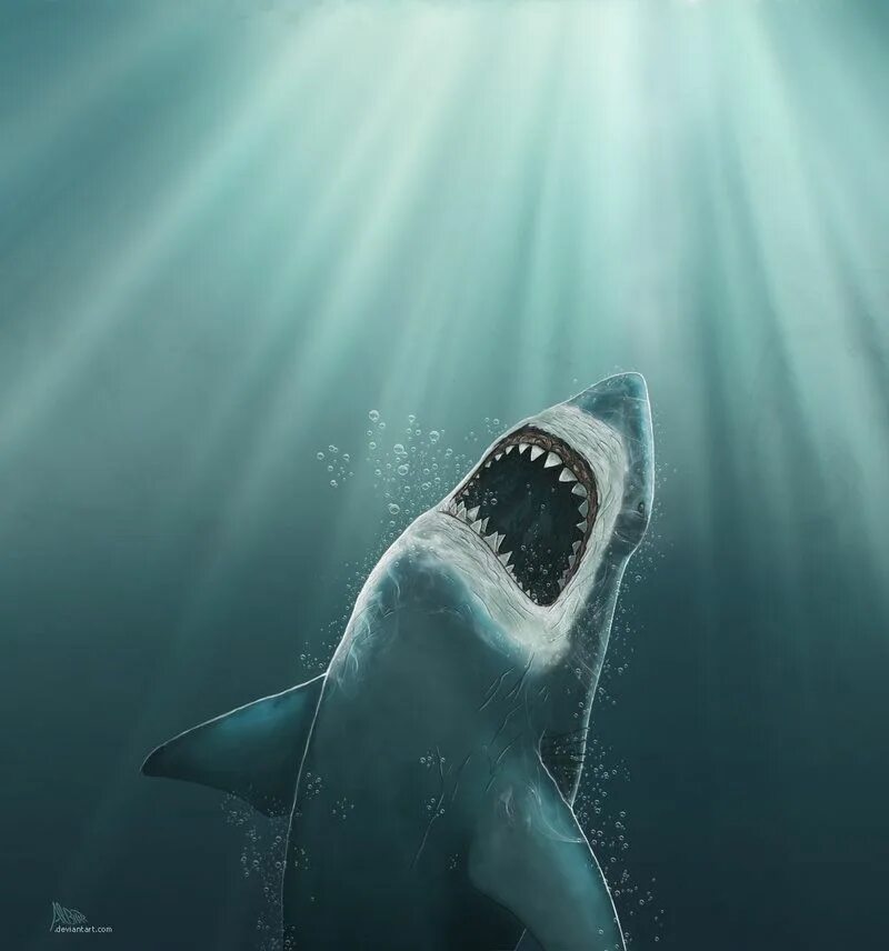 Пасти про. Акула мегалодон челюсть. Акула мегалодон. Пантера зубы. Белая акула кархародон.