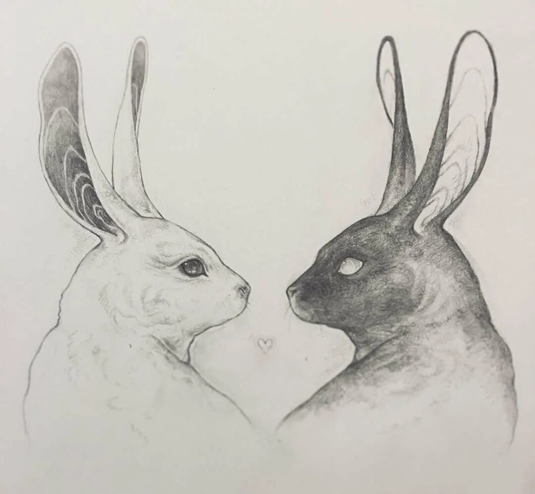 Рисунок двух животных. Ассиметричные рисунки животных. рисунки животных парочек карандашом. асимметрия рисунки карандашом животных. совмещенные животные рисунок.