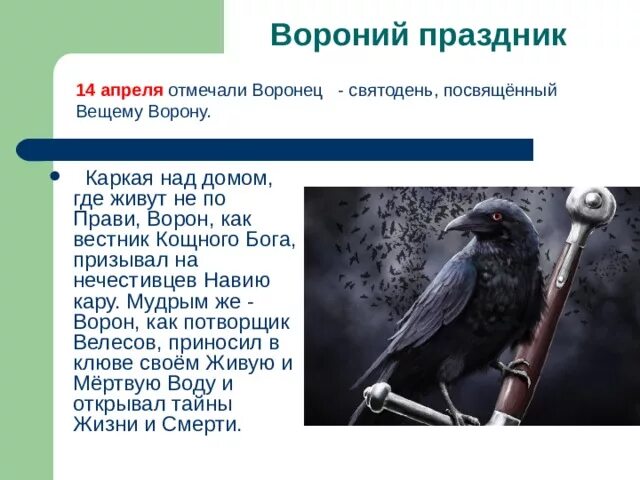 Воронец Вороний праздник. 14 Апреля Воронец. Воронец Славянский праздник. 14 Апреля день Семаргла и Воронец Вороний праздник. 14 апреля праздник в россии