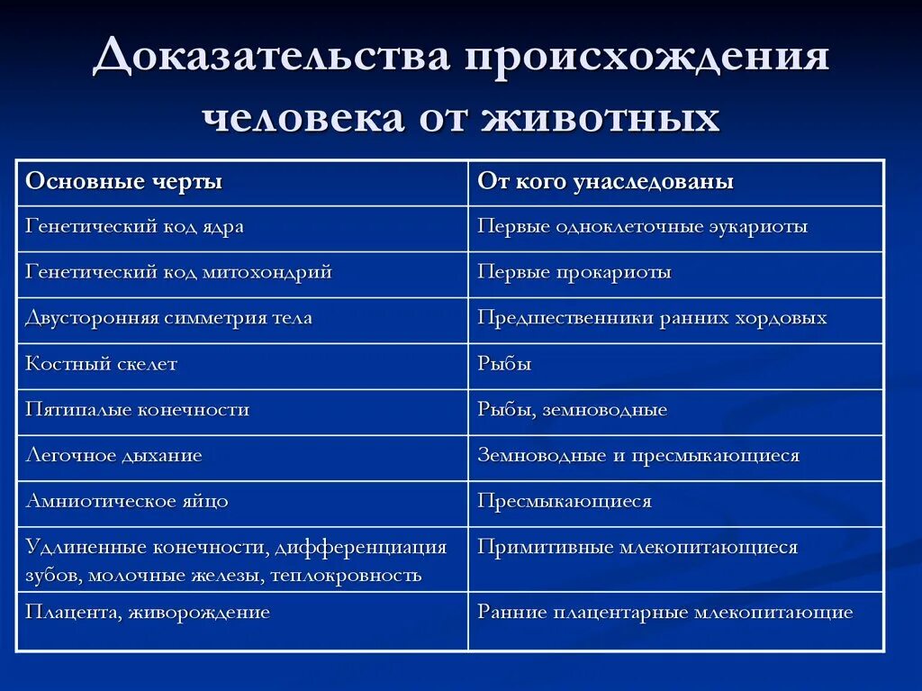 Доказательства происхождения человека разумного от животных. Генетические доказательства происхождения человека от животных. Доказательства происхождения человека от животных таблица. Что доказывает происхождение человека от животных.