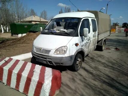 Газель оренбургская область