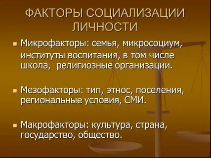 Семья относится к социализации