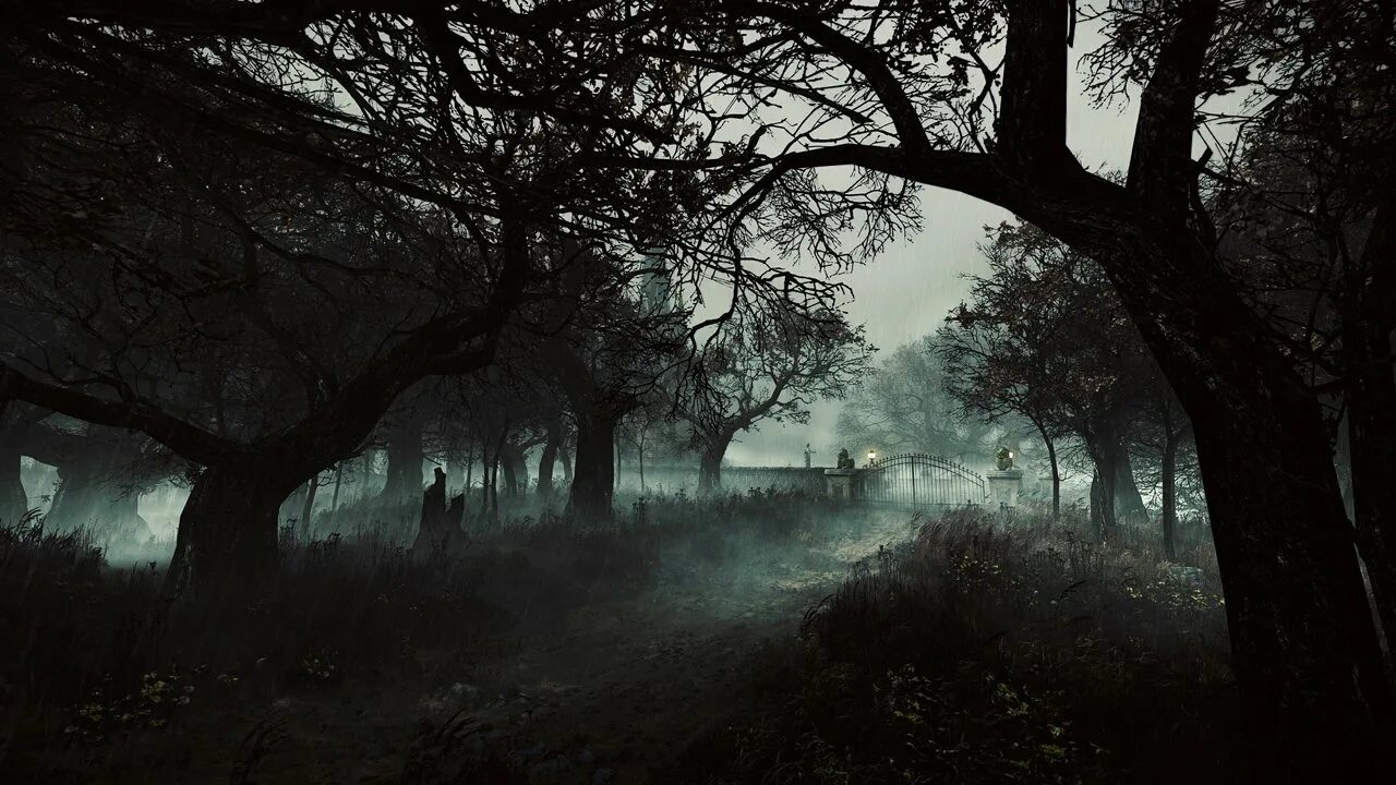Темный лес Геншин. Мрачный пейзаж. Мрачный фон. Страшный лес. Scary day
