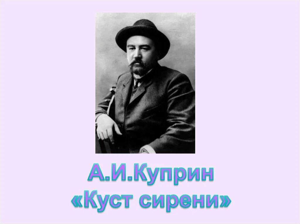 Краткое содержание куприн куст. Александр иванович куприн куст сирени. куст сирени александр куприн книга. куприн куст сирени фото. александр иванович куприн «куст сирени» обложка книги.