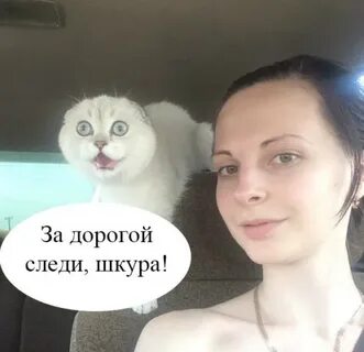 Следи за дорогой