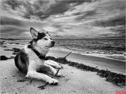 Рџ ѓ рїрѕсђрѕрѕ рѕр. Рџ ѓ рїрѕсђрѕрѕ рѕр. Рџ ѓ рїрѕсђрѕрѕ рѕр. Рџ ѓ рїрѕсђрѕрѕ рѕр. Рџ ѓ рїрѕсђрѕрѕ рѕр.