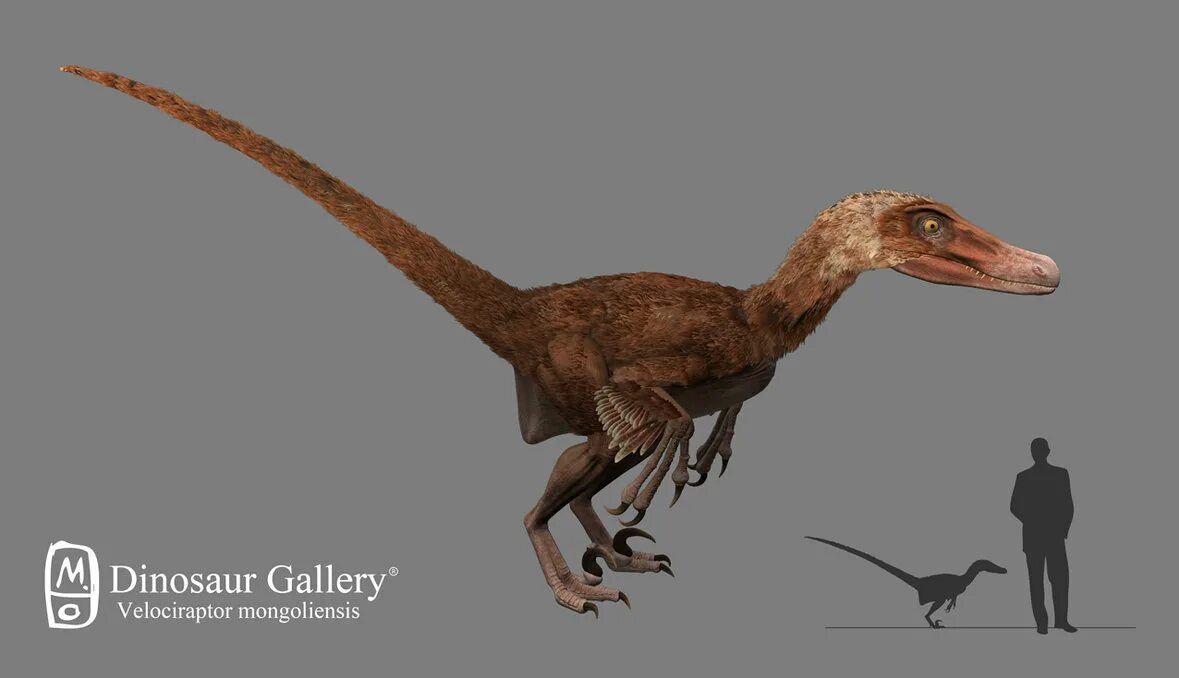 Игуанодон арт. Крокодиломорфы триаса. Двуногий динозавр 12 букв. Двуногий динозавр 12 букв. Двуногий динозавр 12 букв.