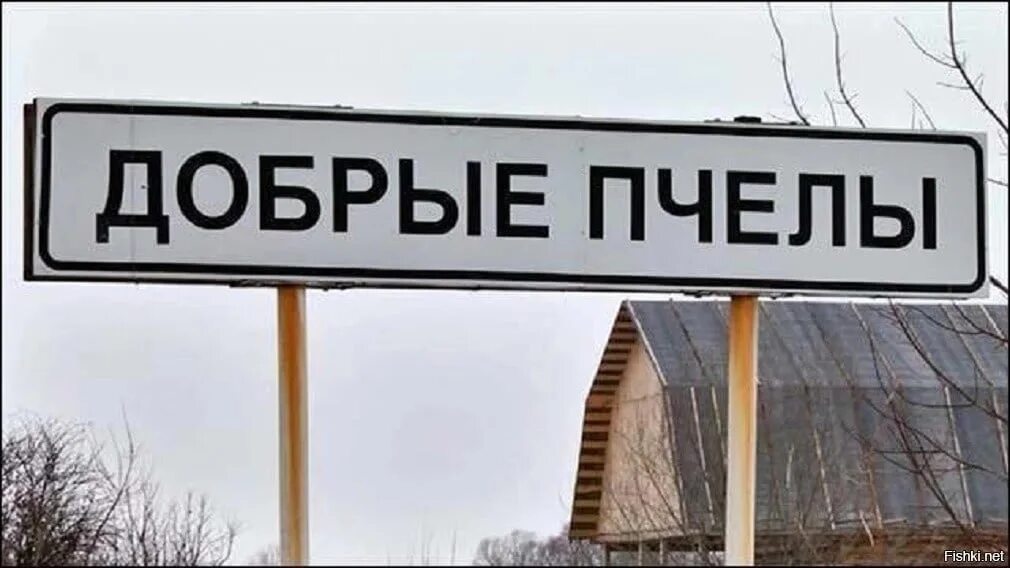 Добрые пчелы рязанская. Населенный пункт добрые пчелы. поселок добрые пчёлы.
