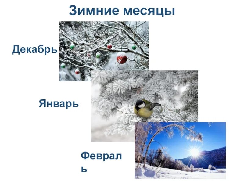 Тема зимние месяцы. Зимние месяцы. Зима декабрь январь февраль. Зимние месяцы январь. Зимний месяц февраль.