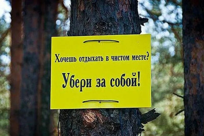 Табличка в лесу. Убери вывеску