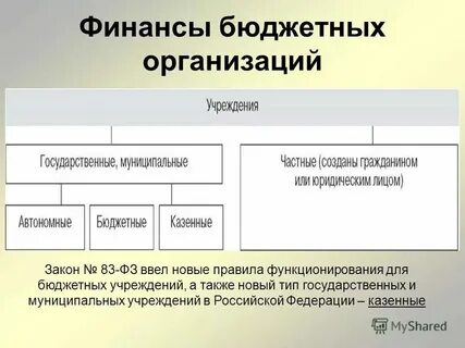 Основы организации финансов бюджетных организаций